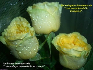 Un învingator tine seama de ” cum se vede zidul în întregime ”. Un învins tine seama de ” caramida pe care trebuie sa o puna ". 