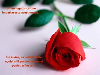 Un învingator ca tine împartaseste acest mesaj... Un învins, ca ceilalti, este egoist si îl pastreaza numai pentru el însusi... 