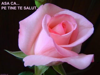 ASA CA... PE TINE TE SALUT, 