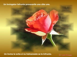 Un învingator înfrunta provocarile una câte una. Un învins le evita si nu îndrazneste sa le înfrunte. 