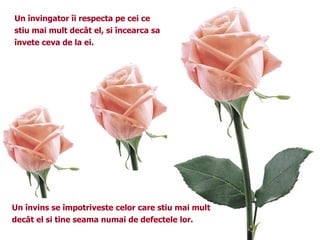 Un învingator îi respecta pe cei ce stiu mai mult decât el, si încearca sa învete ceva de la ei. Un învins se împotriveste celor care stiu mai mult decât el si tine seama numai de defectele lor. 