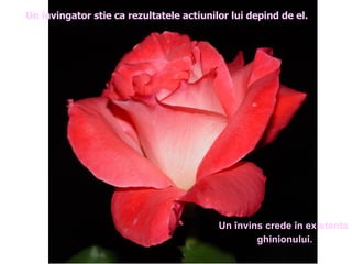 Un învingator stie ca rezultatele actiunilor lui depind de el. Un învins crede în existenta ghinionului. 