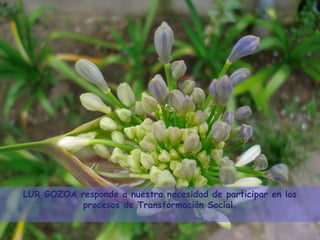 LUR GOZOA responde a nuestra necesidad de participar en los
           procesos de Transformación Social.
 