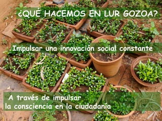 ¿QUÉ HACEMOS EN LUR GOZOA?



  Impulsar una innovación social constante




 A través de impulsar
la consciencia en la ciudadanía
 