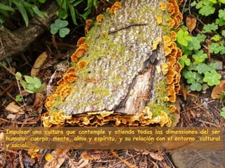 Impulsar una cultura que contemple y atienda todas las dimensiones del ser
humano: cuerpo, mente, alma y espíritu, y su relación con el entorno cultural
y social.
 