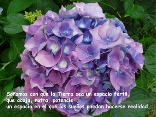 Soñamos con que la Tierra sea un espacio fértil,
que acoja, nutra, potencie…,
un espacio en el que los sueños puedan hacerse realidad.
 