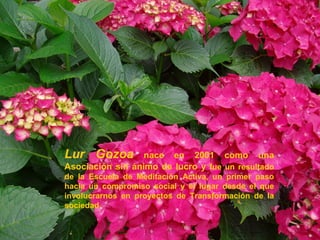 Lur Gozoa         nace en 2001 como una
Asociación sin ánimo de lucro y fue un resultado
de la Escuela de Meditación Activa, un primer paso
hacia un compromiso social y el lugar desde el que
involucrarnos en proyectos de Transformación de la
sociedad.
 