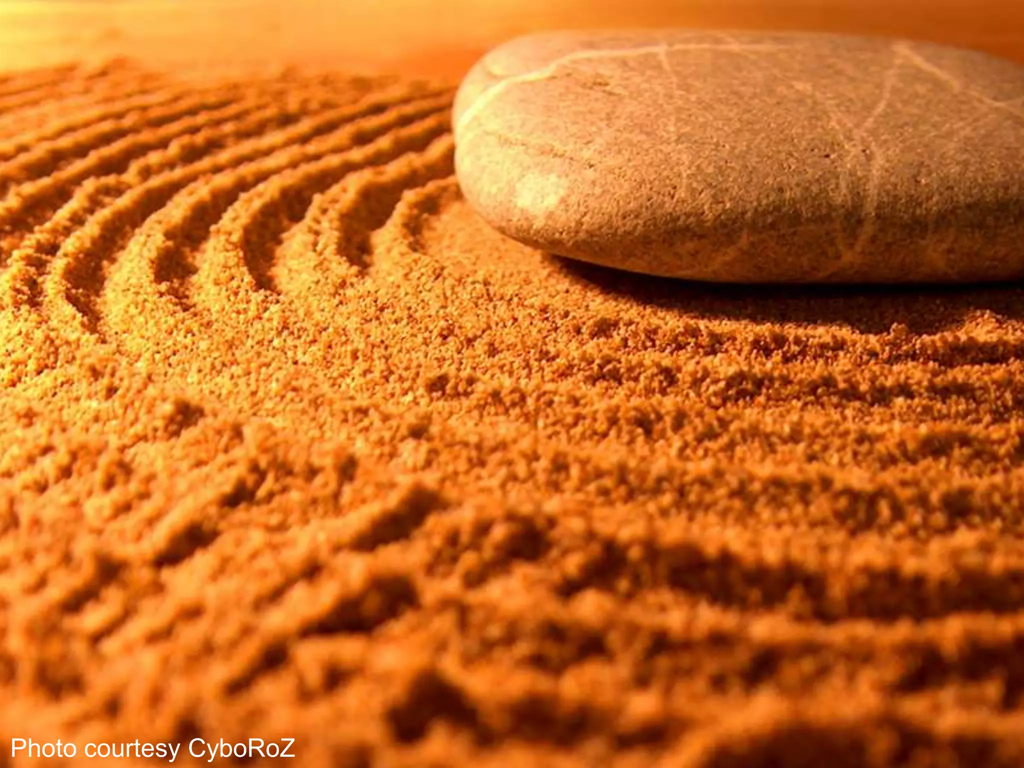 Photo courtesy CyboRoZ