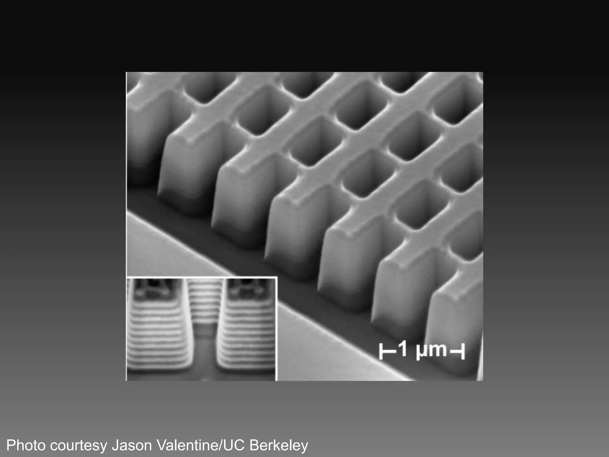 Photo courtesy Jason Valentine/UC Berkeley