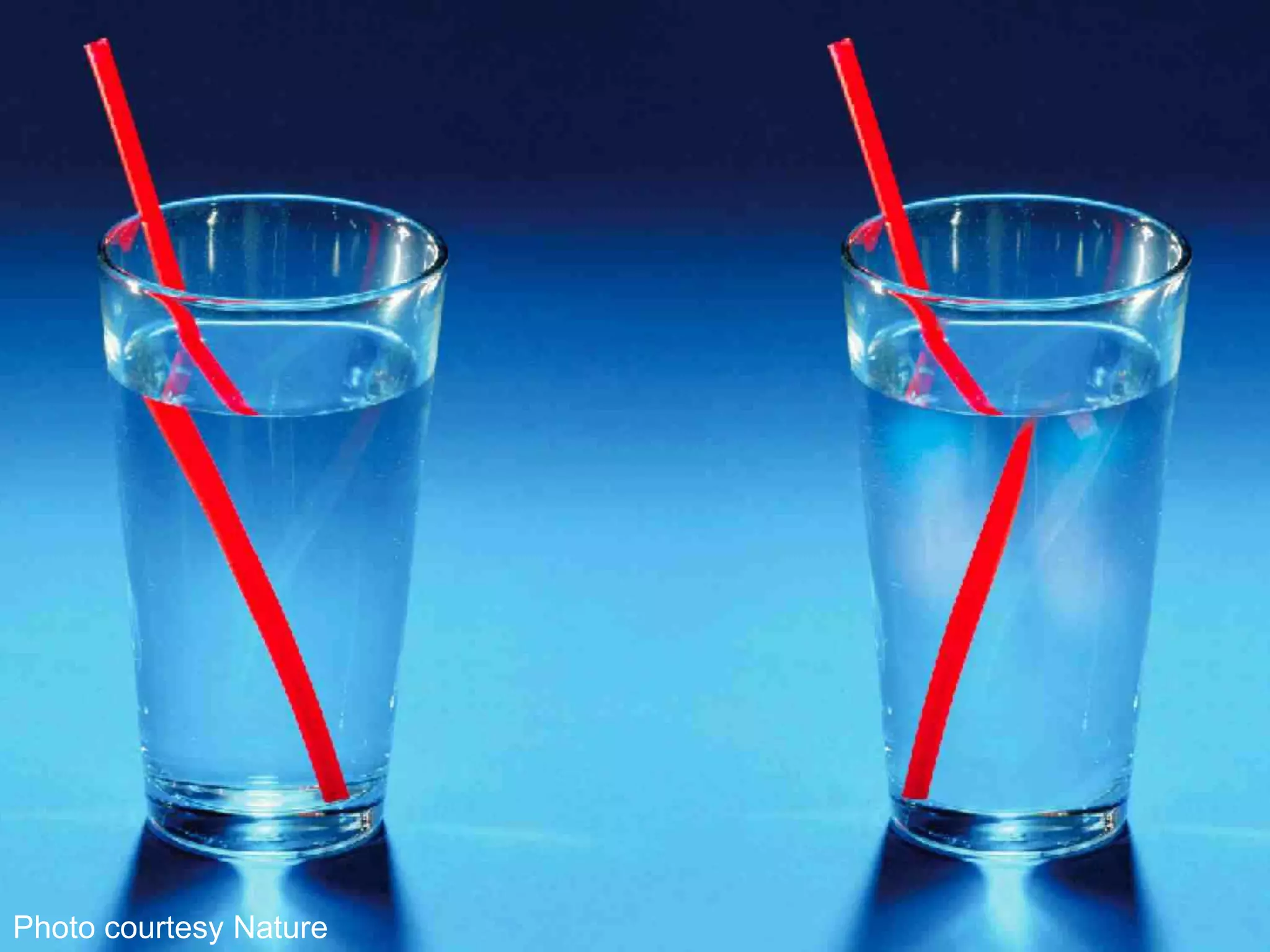 Photo courtesy Nature