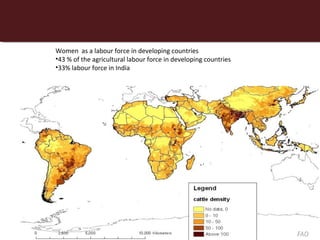 Women as a labour force in developing countries
•43 % of the agricultural labour force in developing countries
•33% labour force in India




                                                                 FAO
 