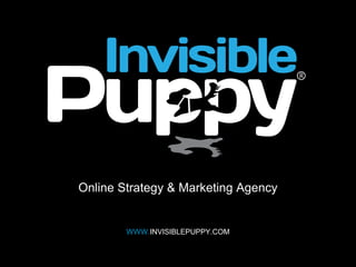 Online Strategy & Marketing Agency


        WWW.INVISIBLEPUPPY.COM
 