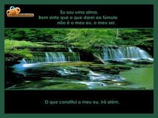 Eu sou uma alma.  Bem sinto que o que darei ao túmulo  não é o meu eu, o meu ser.  O que constitui o meu eu, irá além.   