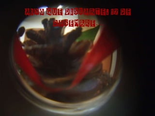 AIXÍ QUE DISSABTE, 17 DE DESEMBRE … 