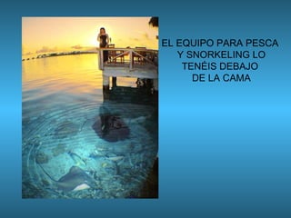 EL EQUIPO PARA PESCA  Y SNORKELING LO TENÉIS DEBAJO  DE LA CAMA 