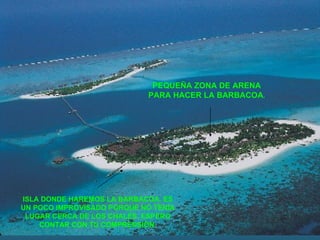 ISLA DONDE HAREMOS LA BARBACOA. ES UN POCO IMPROVISADO PORQUE NO TENÍA LUGAR CERCA DE LOS CHALÉS. ESPERO CONTAR CON TU COMPRENSIÓN. PEQUEÑA ZONA DE ARENA PARA HACER LA BARBACOA . 