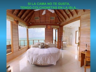 SI LA CAMA NO TE GUSTA,  TENGO COLCHONETAS EN LA ISLA... 