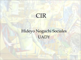 CIR  Hideyo Noguchi Sociales UADY 