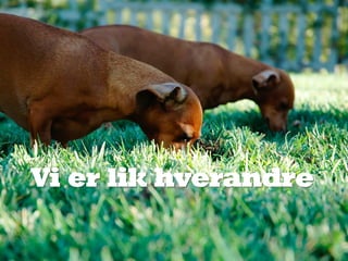 Vi er lik hverandre
 