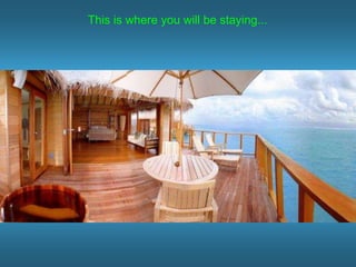 This is where you will be staying...
 