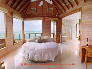 if the bed isnt comfortable there are nets on the
                      island.
 