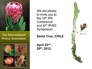 We are please to invite you to the 16th IPA Conference and XIth IPWG Symposium The International ProteaAssociation Santa Cruz Santa Cruz, CHILE April 22nd - 26th, 2012. 