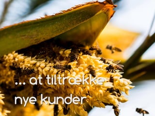 ... at tiltrække
nye kunder
 