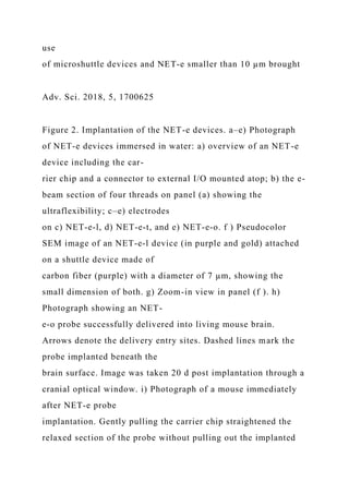 use
of microshuttle devices and NET-e smaller than 10 µm brought
Adv. Sci. 2018, 5, 1700625
Figure 2. Implantation of the NET-e devices. a–e) Photograph
of NET-e devices immersed in water: a) overview of an NET-e
device including the car-
rier chip and a connector to external I/O mounted atop; b) the e-
beam section of four threads on panel (a) showing the
ultraflexibility; c–e) electrodes
on c) NET-e-l, d) NET-e-t, and e) NET-e-o. f ) Pseudocolor
SEM image of an NET-e-l device (in purple and gold) attached
on a shuttle device made of
carbon fiber (purple) with a diameter of 7 µm, showing the
small dimension of both. g) Zoom-in view in panel (f ). h)
Photograph showing an NET-
e-o probe successfully delivered into living mouse brain.
Arrows denote the delivery entry sites. Dashed lines mark the
probe implanted beneath the
brain surface. Image was taken 20 d post implantation through a
cranial optical window. i) Photograph of a mouse immediately
after NET-e probe
implantation. Gently pulling the carrier chip straightened the
relaxed section of the probe without pulling out the implanted
 