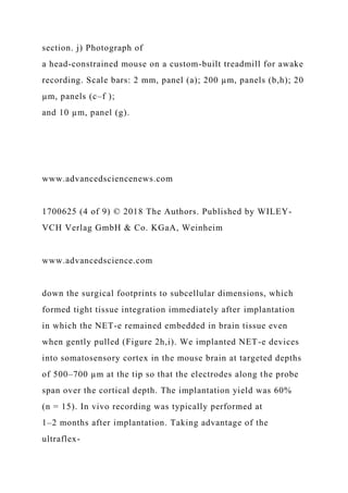 section. j) Photograph of
a head-constrained mouse on a custom-built treadmill for awake
recording. Scale bars: 2 mm, panel (a); 200 µm, panels (b,h); 20
µm, panels (c–f );
and 10 µm, panel (g).
www.advancedsciencenews.com
1700625 (4 of 9) © 2018 The Authors. Published by WILEY-
VCH Verlag GmbH & Co. KGaA, Weinheim
www.advancedscience.com
down the surgical footprints to subcellular dimensions, which
formed tight tissue integration immediately after implantation
in which the NET-e remained embedded in brain tissue even
when gently pulled (Figure 2h,i). We implanted NET-e devices
into somatosensory cortex in the mouse brain at targeted depths
of 500–700 µm at the tip so that the electrodes along the probe
span over the cortical depth. The implantation yield was 60%
(n = 15). In vivo recording was typically performed at
1–2 months after implantation. Taking advantage of the
ultraflex-
 