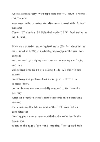 Animals and Surgery: Wild-type male mice (C57BJ/6, 8 weeks
old, Taconic)
were used in the experiments. Mice were housed at the Animal
Research
Center, UT Austin (12 h light/dark cycle, 22 °C, food and water
ad libitum).
Mice were anesthetized using isoflurane (3% for induction and
maintained at 1–2%) in medical-grade oxygen. The skull was
exposed
and prepared by scalping the crown and removing the fascia,
and then
was scored with the tip of a scalpel blade. A 3 mm × 3 mm
square
craniotomy was performed with a surgical drill over the
somatosensory
cortex. Dura mater was carefully removed to facilitate the
delivery.
After NET-e probe implantation (described in the following
section),
the remaining flexible segment of the NET probe, which
connected the
bonding pad on the substrate with the electrodes inside the
brain, was
routed to the edge of the cranial opening. The exposed brain
 