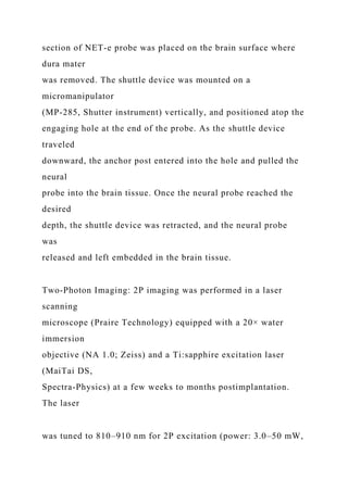 section of NET-e probe was placed on the brain surface where
dura mater
was removed. The shuttle device was mounted on a
micromanipulator
(MP-285, Shutter instrument) vertically, and positioned atop the
engaging hole at the end of the probe. As the shuttle device
traveled
downward, the anchor post entered into the hole and pulled the
neural
probe into the brain tissue. Once the neural probe reached the
desired
depth, the shuttle device was retracted, and the neural probe
was
released and left embedded in the brain tissue.
Two-Photon Imaging: 2P imaging was performed in a laser
scanning
microscope (Praire Technology) equipped with a 20× water
immersion
objective (NA 1.0; Zeiss) and a Ti:sapphire excitation laser
(MaiTai DS,
Spectra-Physics) at a few weeks to months postimplantation.
The laser
was tuned to 810–910 nm for 2P excitation (power: 3.0–50 mW,
 