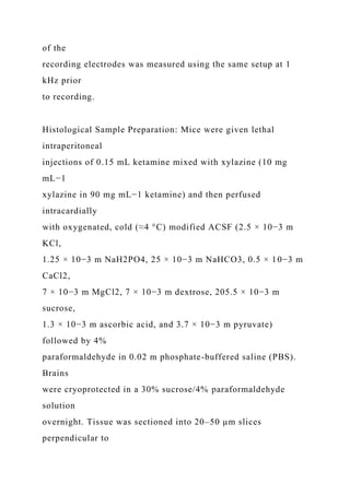of the
recording electrodes was measured using the same setup at 1
kHz prior
to recording.
Histological Sample Preparation: Mice were given lethal
intraperitoneal
injections of 0.15 mL ketamine mixed with xylazine (10 mg
mL−1
xylazine in 90 mg mL−1 ketamine) and then perfused
intracardially
with oxygenated, cold (≈4 °C) modified ACSF (2.5 × 10−3 m
KCl,
1.25 × 10−3 m NaH2PO4, 25 × 10−3 m NaHCO3, 0.5 × 10−3 m
CaCl2,
7 × 10−3 m MgCl2, 7 × 10−3 m dextrose, 205.5 × 10−3 m
sucrose,
1.3 × 10−3 m ascorbic acid, and 3.7 × 10−3 m pyruvate)
followed by 4%
paraformaldehyde in 0.02 m phosphate-buffered saline (PBS).
Brains
were cryoprotected in a 30% sucrose/4% paraformaldehyde
solution
overnight. Tissue was sectioned into 20–50 µm slices
perpendicular to
 