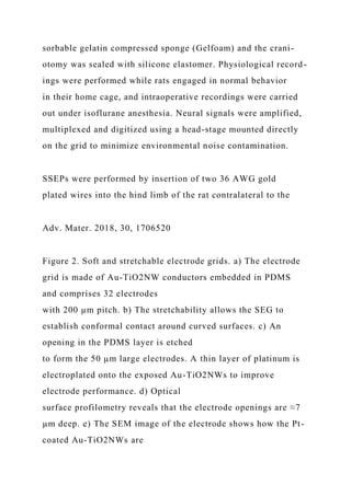 sorbable gelatin compressed sponge (Gelfoam) and the crani-
otomy was sealed with silicone elastomer. Physiological record-
ings were performed while rats engaged in normal behavior
in their home cage, and intraoperative recordings were carried
out under isoflurane anesthesia. Neural signals were amplified,
multiplexed and digitized using a head-stage mounted directly
on the grid to minimize environmental noise contamination.
SSEPs were performed by insertion of two 36 AWG gold
plated wires into the hind limb of the rat contralateral to the
Adv. Mater. 2018, 30, 1706520
Figure 2. Soft and stretchable electrode grids. a) The electrode
grid is made of Au-TiO2NW conductors embedded in PDMS
and comprises 32 electrodes
with 200 µm pitch. b) The stretchability allows the SEG to
establish conformal contact around curved surfaces. c) An
opening in the PDMS layer is etched
to form the 50 µm large electrodes. A thin layer of platinum is
electroplated onto the exposed Au-TiO2NWs to improve
electrode performance. d) Optical
surface profilometry reveals that the electrode openings are ≈7
µm deep. e) The SEM image of the electrode shows how the Pt-
coated Au-TiO2NWs are
 