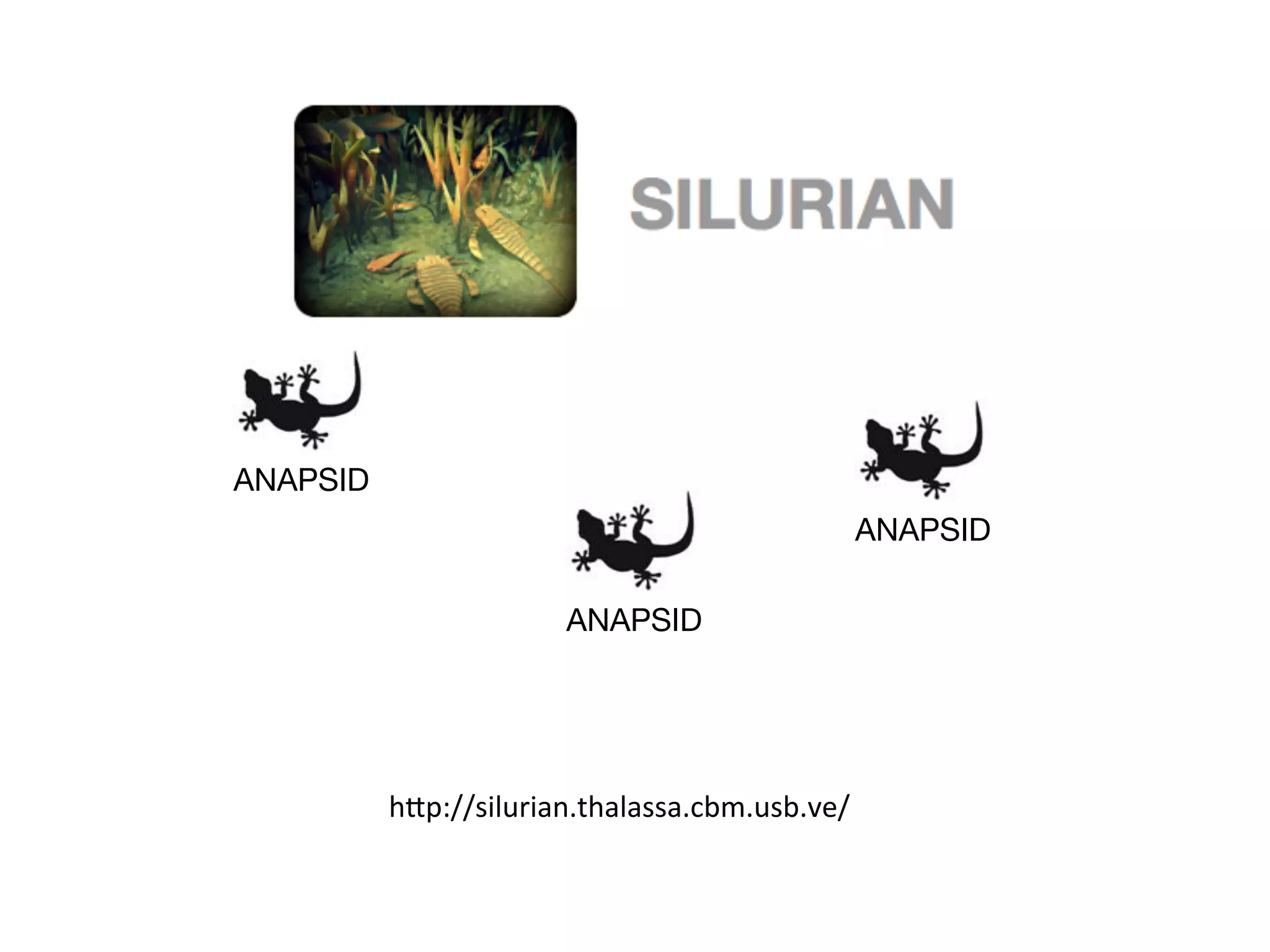 ANAPSID	
  
ANAPSID	
  
ANAPSID	
  

h1p://silurian.thalassa.cbm.usb.ve/	
  

 