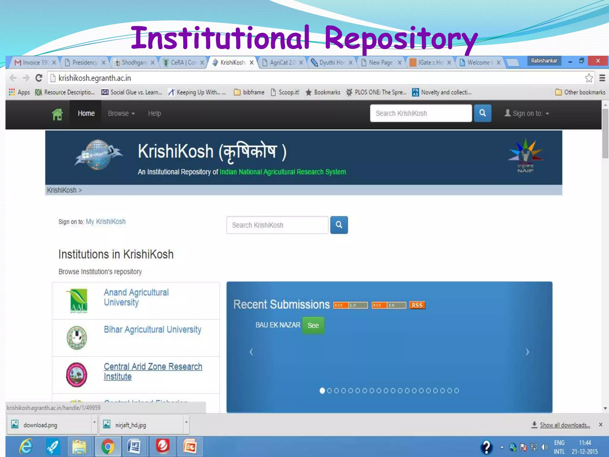 Institutional Repository
 