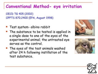Alternatives to animal experiments for eye irritation