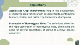 Applications
● Accelerated Crop Improvement: Help in the development
of improved crop varieties with desirable traits, contributing
to more efficient and faster crop improvement programs.
● Production of Homozygous Lines: The technique allows for
the rapid generation of homozygous lines, eliminating the
need for several generations of selfing to achieve genetic
uniformity.
 