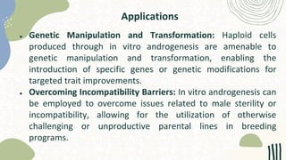 Applications
● Genetic Manipulation and Transformation: Haploid cells
produced through in vitro androgenesis are amenable to
genetic manipulation and transformation, enabling the
introduction of specific genes or genetic modifications for
targeted trait improvements.
● Overcoming Incompatibility Barriers: In vitro androgenesis can
be employed to overcome issues related to male sterility or
incompatibility, allowing for the utilization of otherwise
challenging or unproductive parental lines in breeding
programs.
 