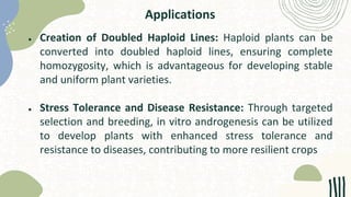 Applications
● Creation of Doubled Haploid Lines: Haploid plants can be
converted into doubled haploid lines, ensuring complete
homozygosity, which is advantageous for developing stable
and uniform plant varieties.
● Stress Tolerance and Disease Resistance: Through targeted
selection and breeding, in vitro androgenesis can be utilized
to develop plants with enhanced stress tolerance and
resistance to diseases, contributing to more resilient crops
 