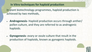 In Vitro techniques for haploid production
In plant biotechnology programmes, haploid production is
achieved by two methods,
● Androgenesis- Haploid production occurs through anther/
pollen culture, and they are referred to as androgenic
haploids.
● Gynogenesis- ovary or ovule culture that result in the
production of haploids, known as gynogenic haploids.
 
