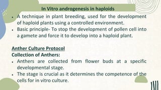 In Vitro androgenesis in haploids
● A technique in plant breeding, used for the development
of haploid plants using a controlled environment.
● Basic principle- To stop the development of pollen cell into
a gamete and force it to develop into a haploid plant.
Anther Culture Protocol
Collection of Anthers:
● Anthers are collected from flower buds at a specific
developmental stage.
● The stage is crucial as it determines the competence of the
cells for in vitro culture.
 