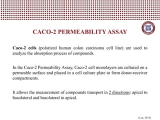 In Vitro Cell Tests for Functional Food | PDF