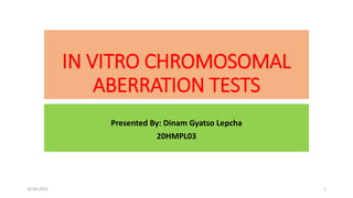 IN VITRO CHROMOSOMAL
ABERRATION TESTS
Presented By: Dinam Gyatso Lepcha
20HMPL03
30-04-2023 1
 