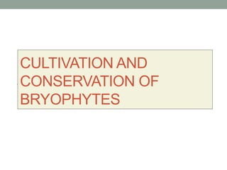 CULTIVATION AND
CONSERVATION OF
BRYOPHYTES
 