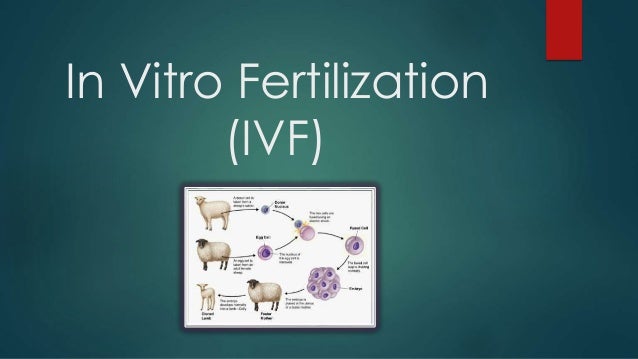a study of ivf or in vitro fertilisation Women who use frozen embryos for in vitro fertilization (ivf) have the same chance of ongoing pregnancy and giving birth as those who have ivf, finds study a new analysis of published studies . a study of ivf or in vitro fertilisation Women who use frozen embryos for in vitro fertilization (ivf) have the same chance of ongoing pregnancy and giving birth as those who have ivf, finds study a new analysis of published studies .