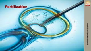 Fertilization
PODDARINTERNATIONALCOLLEGE,JAIPUR
 