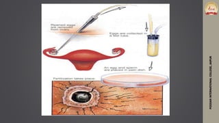 PODDARINTERNATIONALCOLLEGE,JAIPUR
 