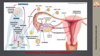 PODDARINTERNATIONALCOLLEGE,JAIPUR
Physiology of Normal Fertilization
 