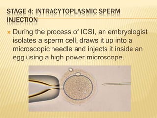 STAGE 4: INTRACYTOPLASMIC SPERM
INJECTION
   During the process of ICSI, an embryologist
    isolates a sperm cell, draws it up into a
    microscopic needle and injects it inside an
    egg using a high power microscope.
 