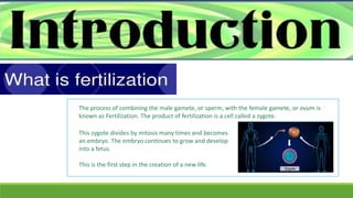 Invitro fertilization in humans | PPTX